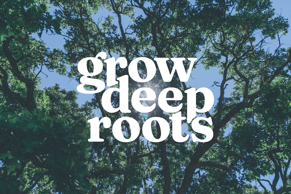 Spring Arbor University announces new brand promise: Grow Deep Roots